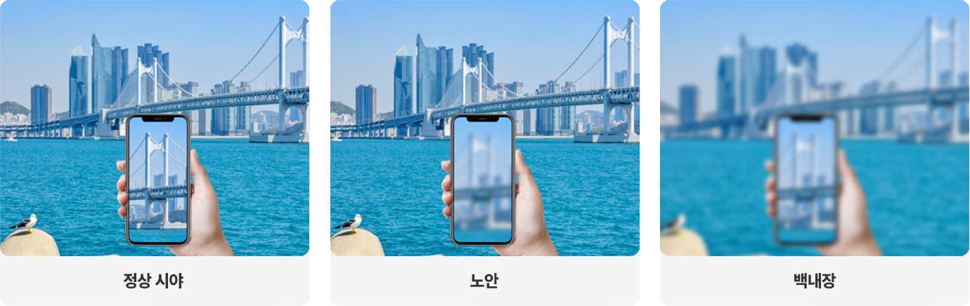 이미지명