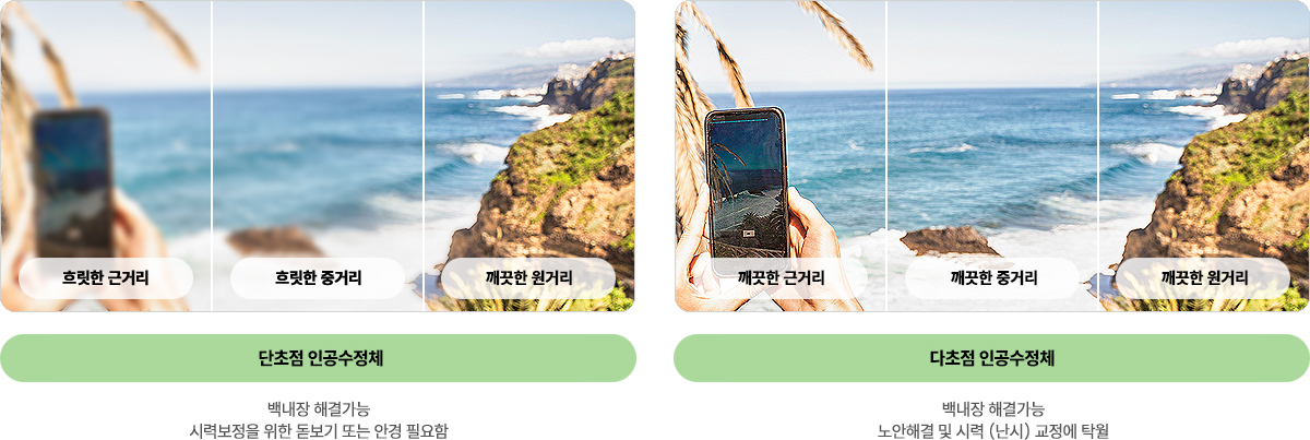 이미지명