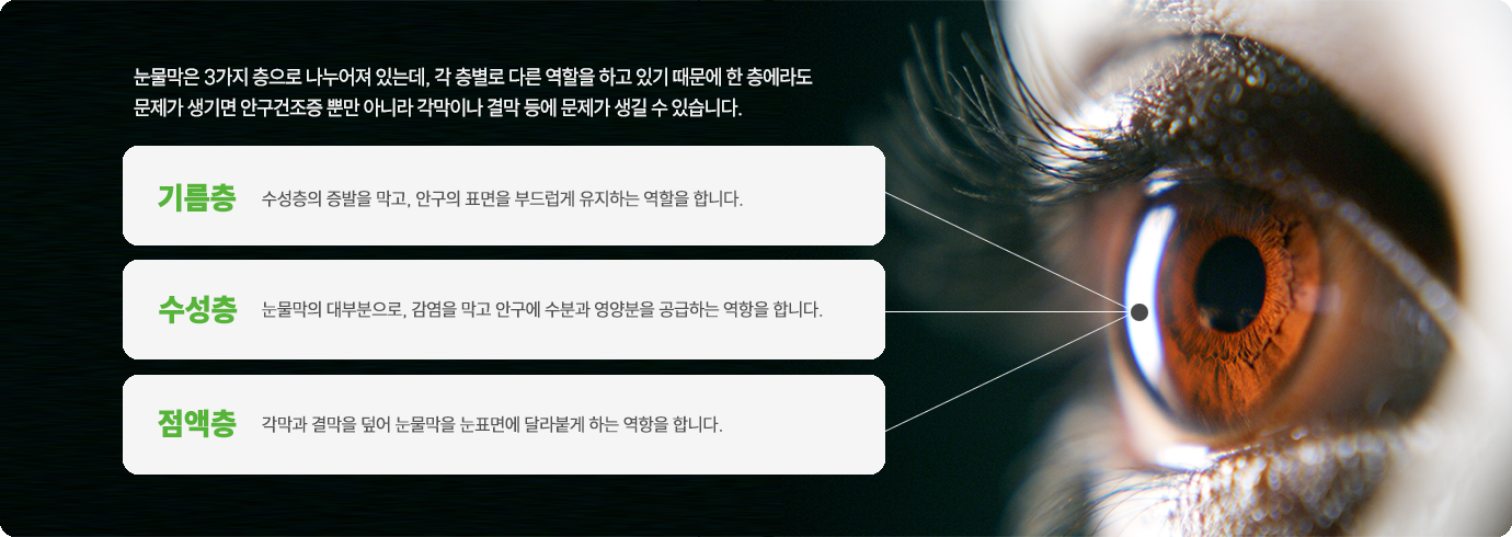 이미지명