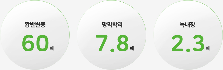 이미지명