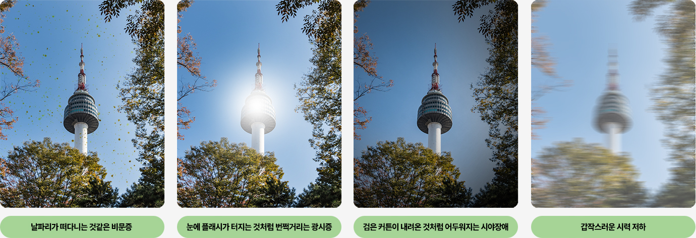 이미지명