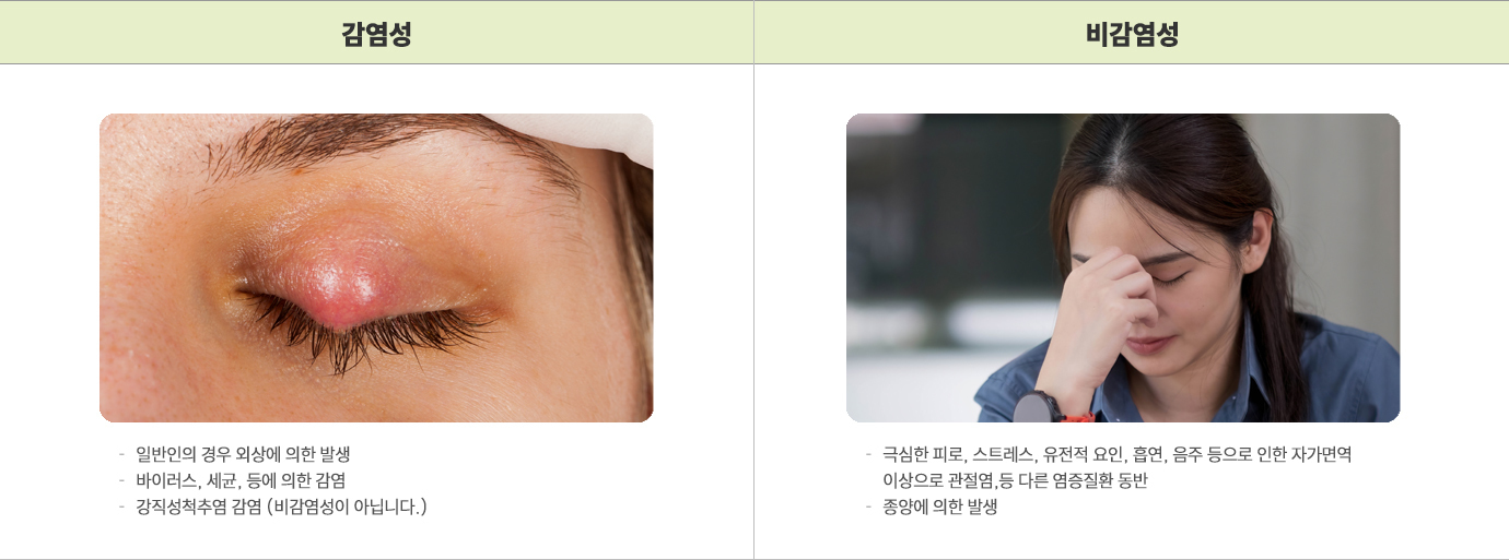 이미지명