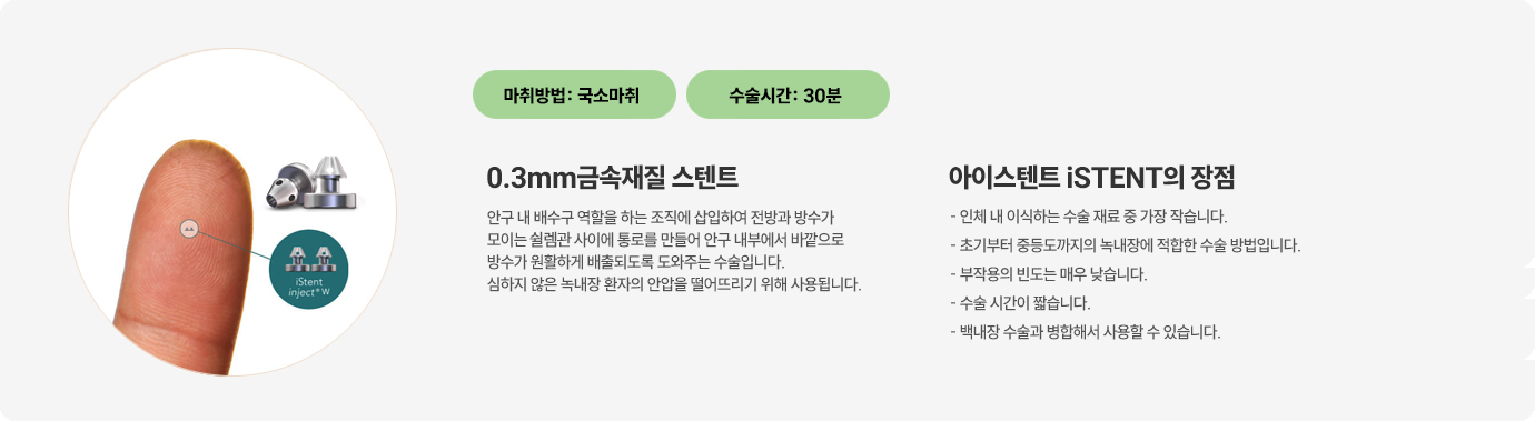 이미지명